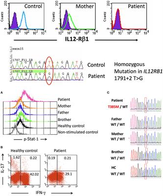 Oral Administration of Human Polyvalent IgG by Mouthwash as an Adjunctive Treatment of Chronic Oral Candidiasis